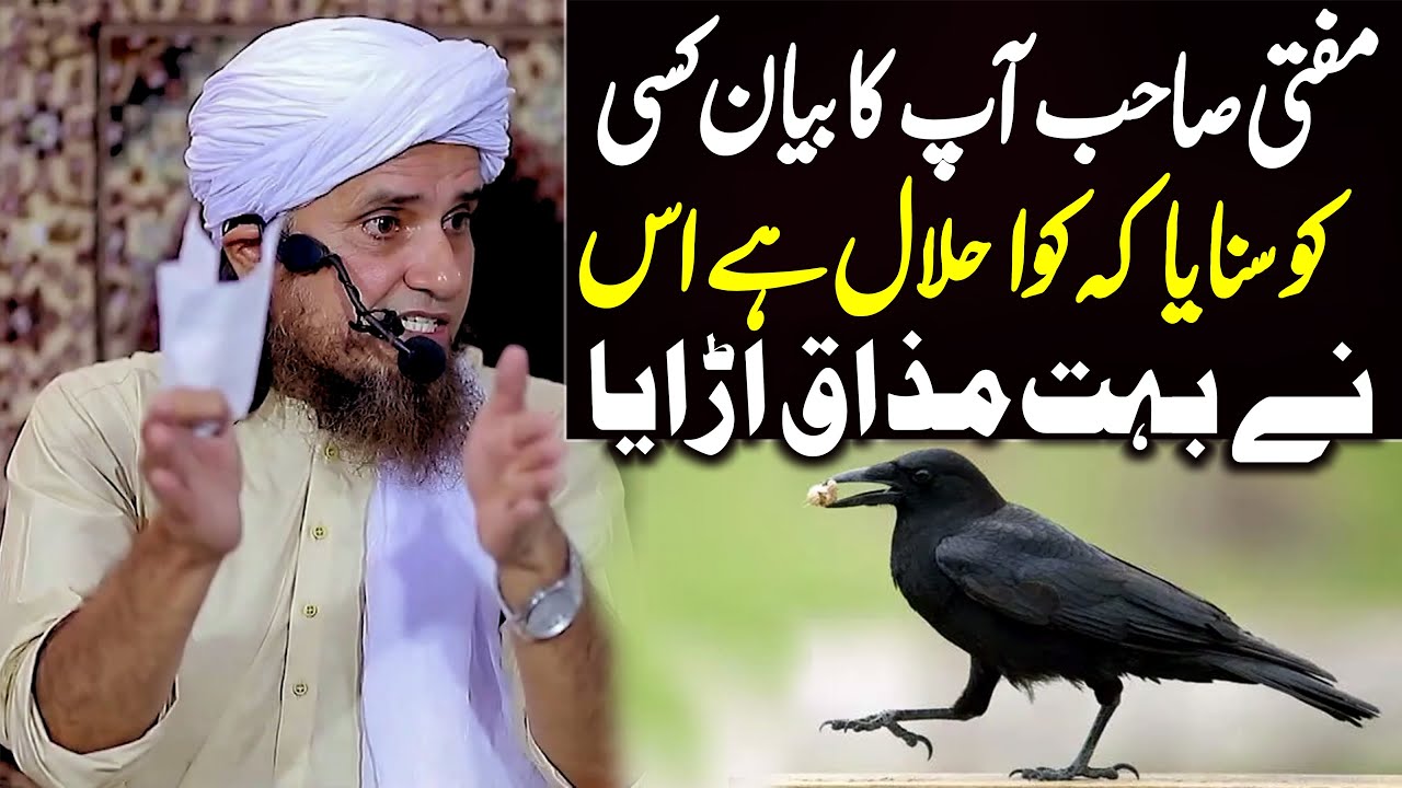 Mufti Sb Aap Ka Bayan Kisi Ko Sunaya Ke Kawa Halal Hai logo ne mazaq uraya | Mufti Tariq Masood